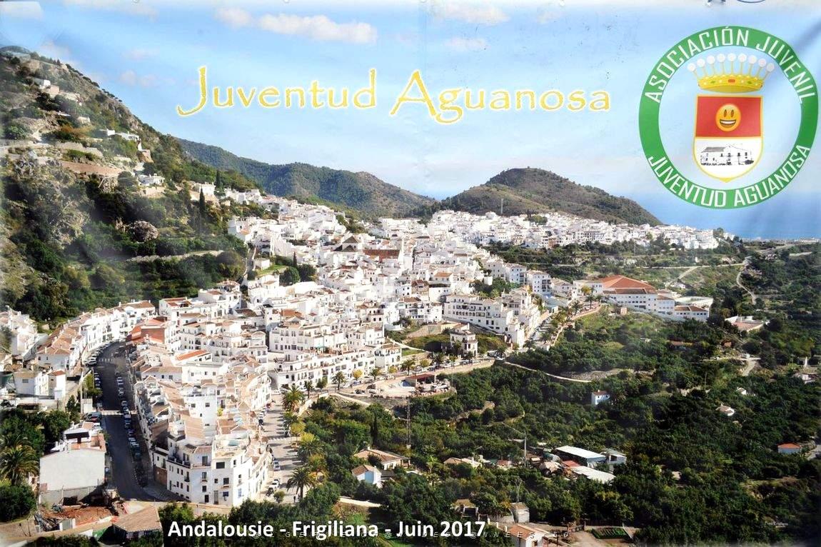 537 - Frigiliana.JPG